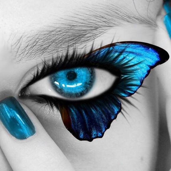 Meet your Posher, Lovina - Picture 1 of 1